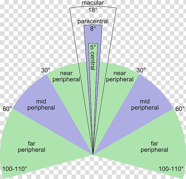 Peripheral vision Visual perception Fovea centralis Eye Retina, Eye transparent background PNG clipart