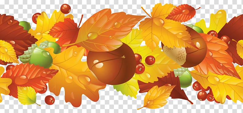 brown and yellow leaves template, Autumn leaf color , Fall Border transparent background PNG clipart