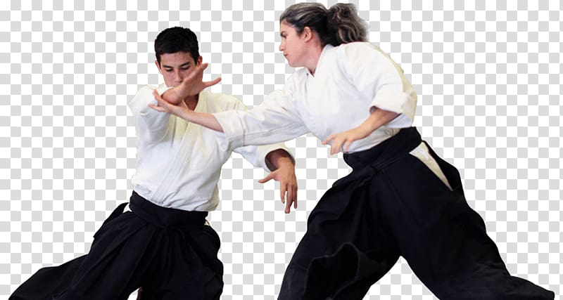 Aikido Kenjutsu Martial arts Jujutsu Brazilian jiu-jitsu, others transparent background PNG clipart
