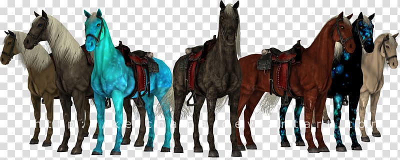 Mustang Stallion Trail riding Rein Pack animal, mustang transparent background PNG clipart