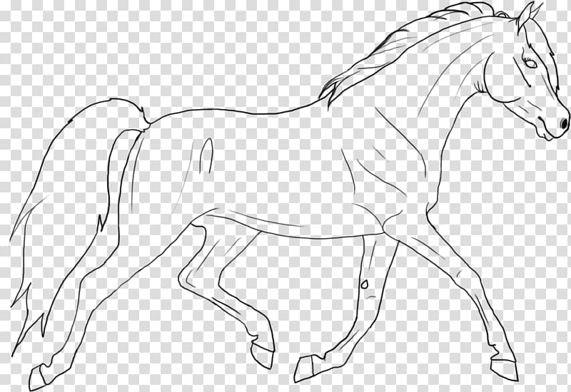 Arabian horse Line art Mane Foal Stallion, jumping kids transparent background PNG clipart