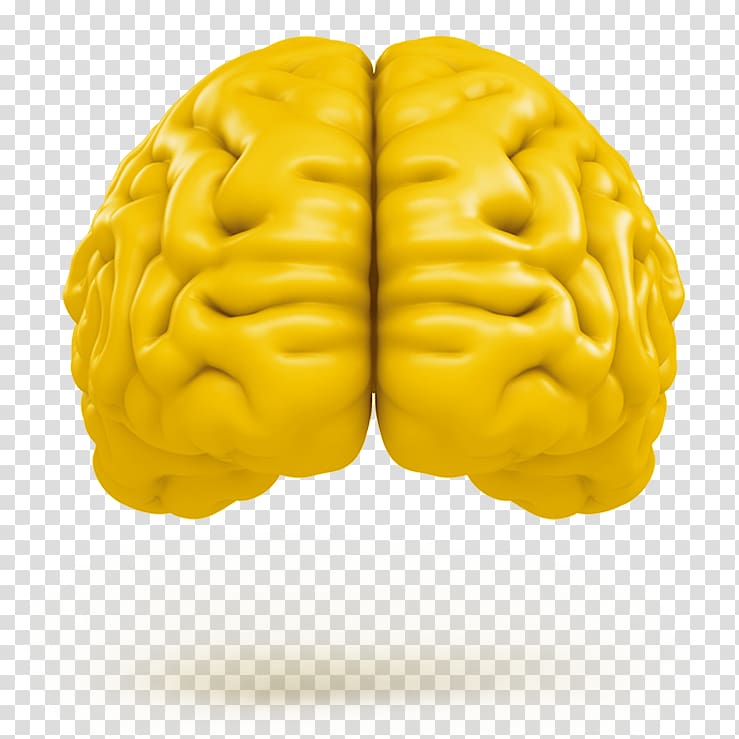 Human brain Tremella mesenterica Neuroimaging Agy, yellow sunscreen transparent background PNG clipart