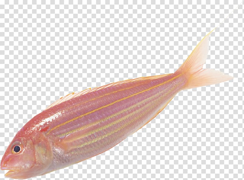 Fish soup Fish scale, fisch transparent background PNG clipart