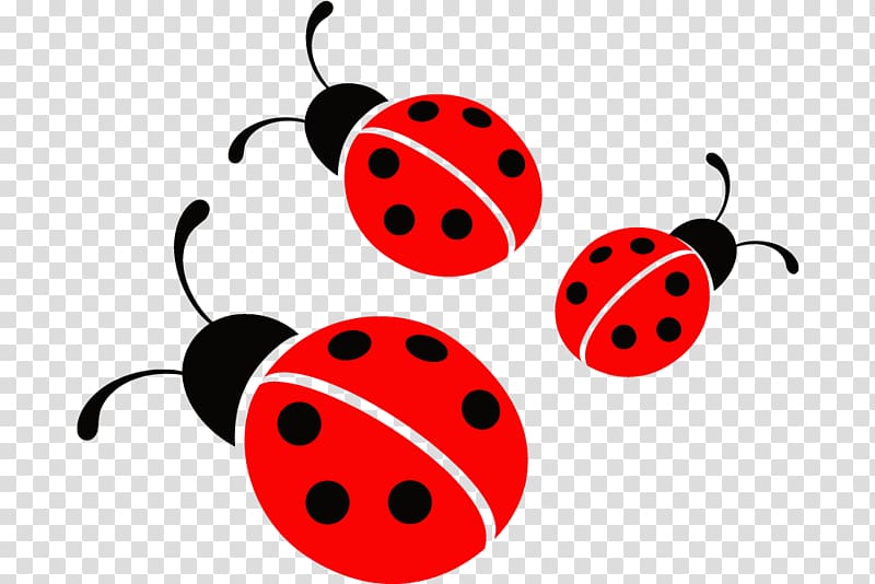 three ladybirds illustration, Ladybird Little ladybugs , Bug transparent background PNG clipart