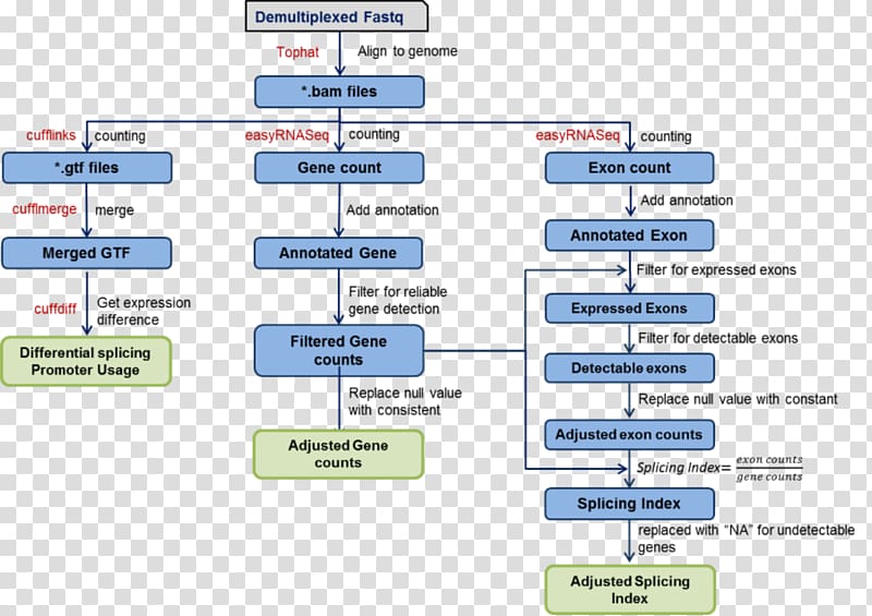 RNA-Seq Bioinformatics TopHat Genome, heatmap rnaseq transparent background PNG clipart
