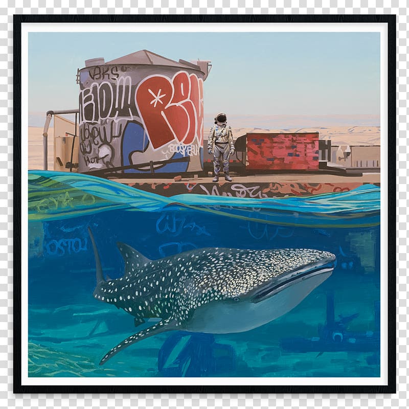Wholphin Artist Painting Visual arts, Whale shark transparent background PNG clipart