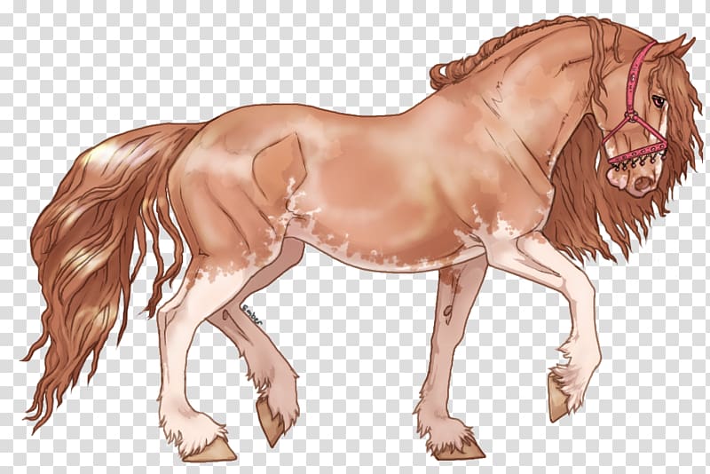 Mane Friesian horse Mustang Pony Stallion, mustang transparent background PNG clipart
