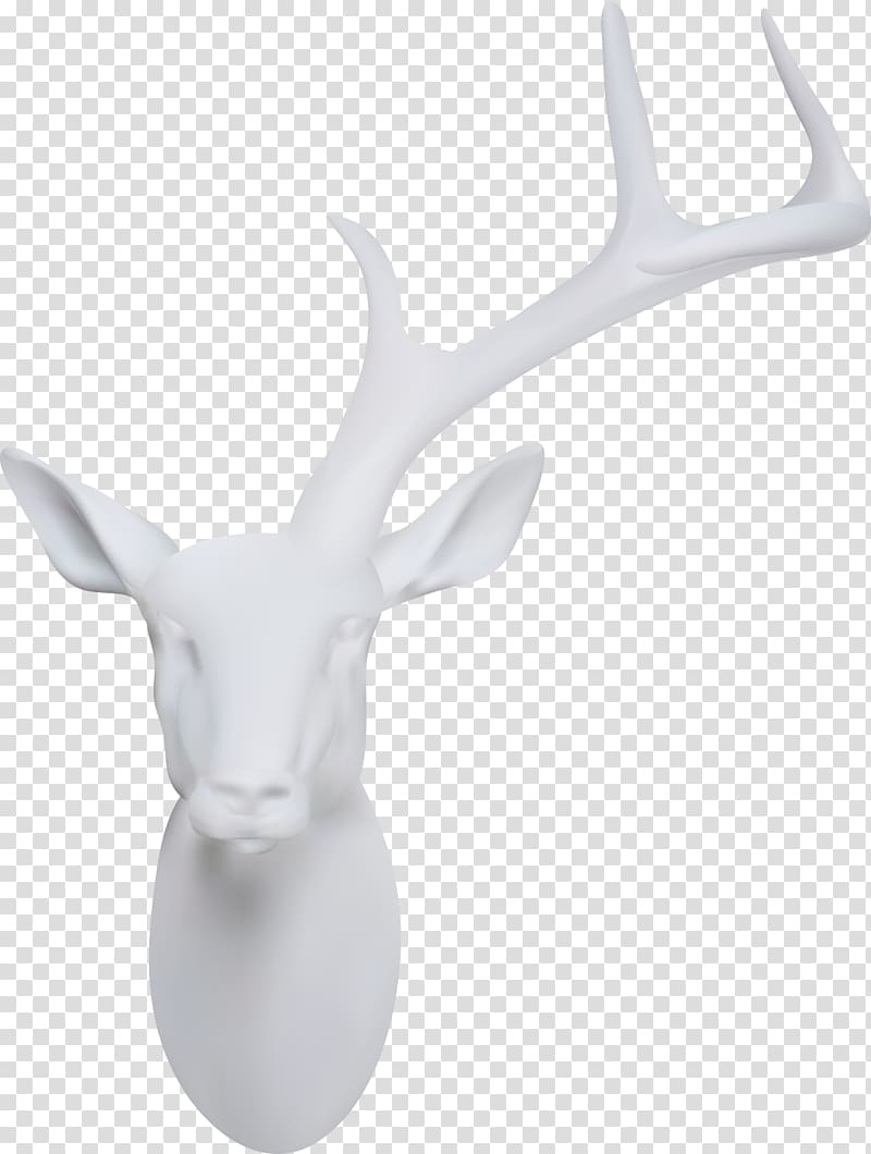 Deer Horn, stone transparent background PNG clipart