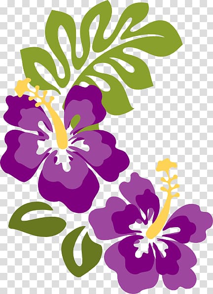 Hawaiian hibiscus Shoeblackplant , hawaii flower transparent background PNG clipart