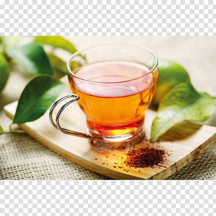 Hibiscus tea Green tea Herbal tea Rooibos, tea transparent background PNG clipart