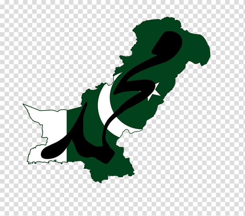 China–Pakistan Economic Corridor United States Business Flag of Pakistan, united states transparent background PNG clipart