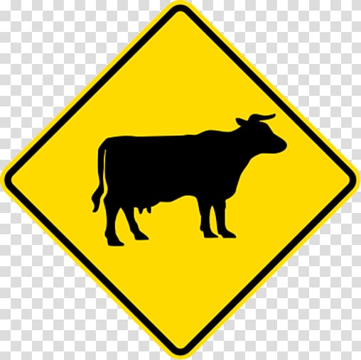 Cattle Traffic sign Road Transport Warning sign, road transparent background PNG clipart