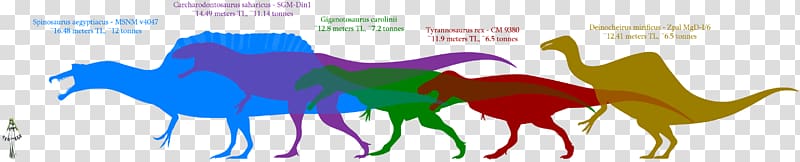Dinosaur size Giganotosaurus Carcharodontosaurus Velociraptor Megaraptor, mongolian transparent background PNG clipart