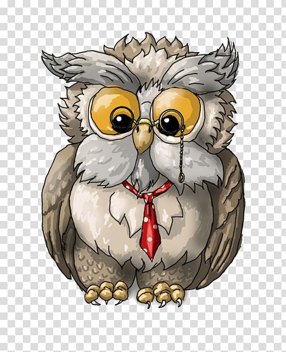 gray owl illustration, A Wise Old Owl Bird Drawing , Cartoon owl transparent background PNG clipart