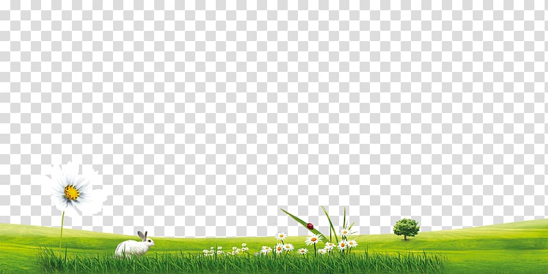 Grassland Crop Golf Balls, extension transparent background PNG clipart