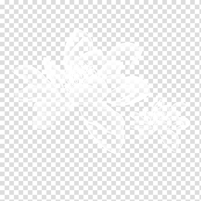 White House Website Drawing Service Advertising, white lotus transparent background PNG clipart