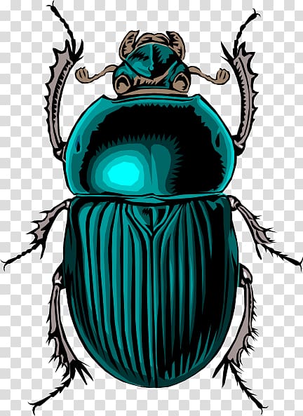 Dung beetle Scarab Scalable Graphics , Beetle transparent background PNG clipart