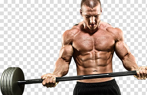 Bodybuilding transparent background PNG clipart