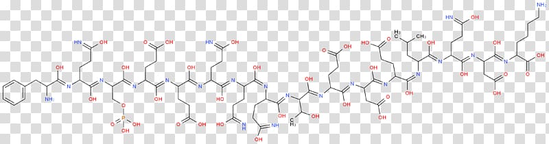 Tunisia Organisation internationale de la Francophonie Prix des cinq continents de la francophonie Writer HuffPost, polysorbate 80 structure transparent background PNG clipart