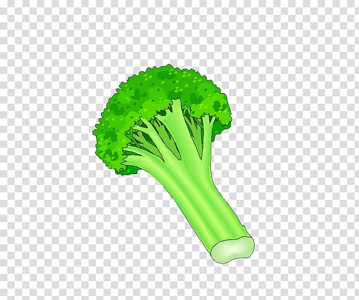 Broccoli Vegetable , Cauliflower transparent background PNG clipart