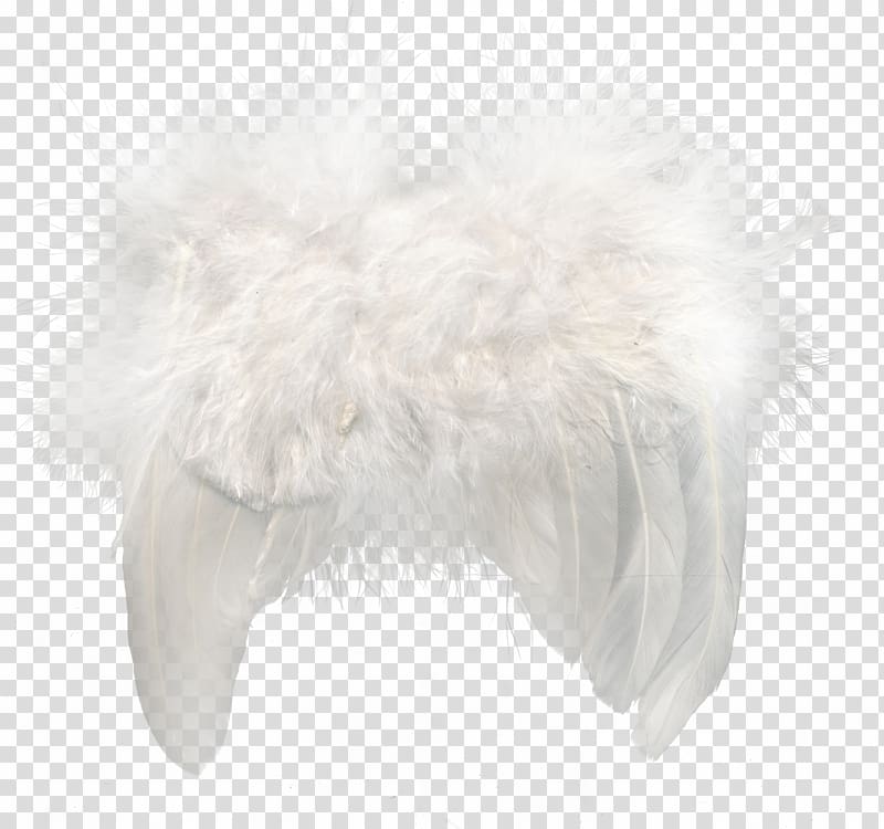 Fur Feather Snout, White feathers transparent background PNG clipart