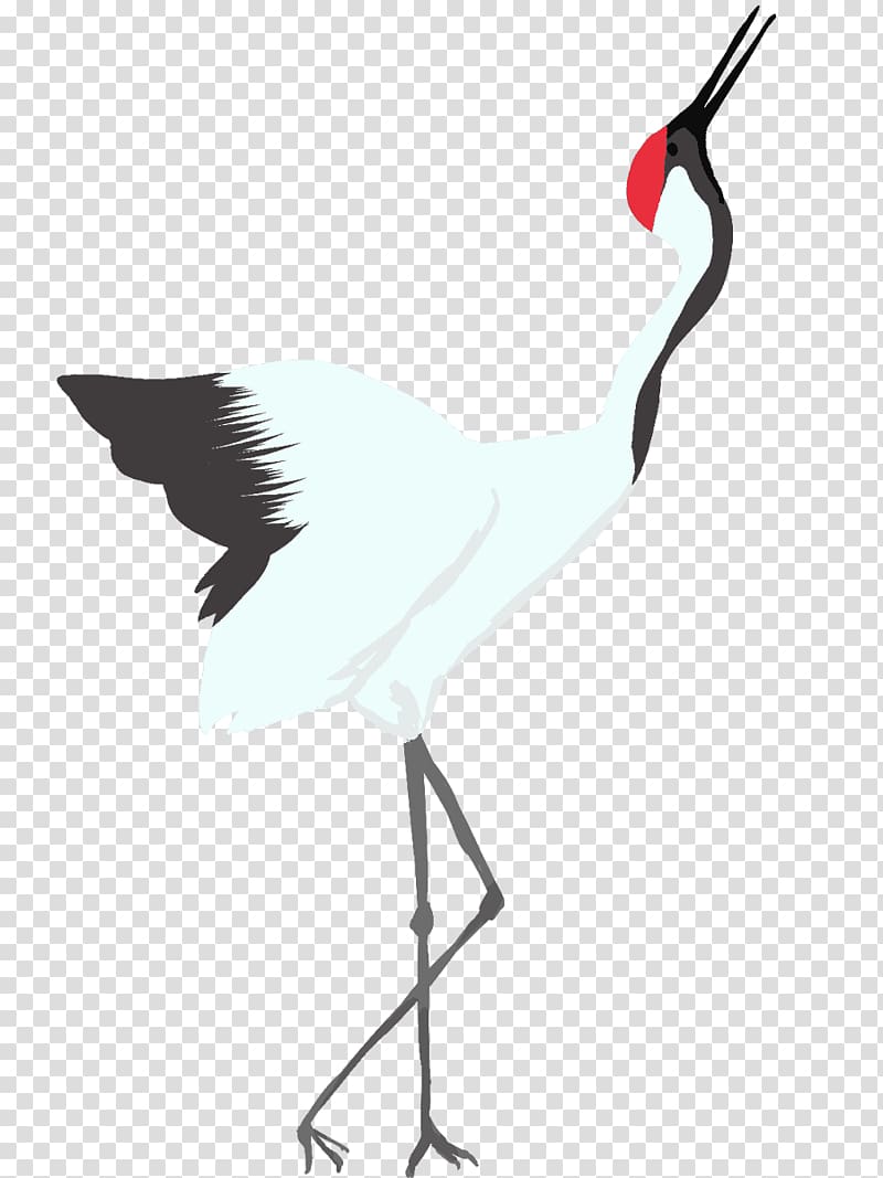 Crane Water bird Stork, crane transparent background PNG clipart