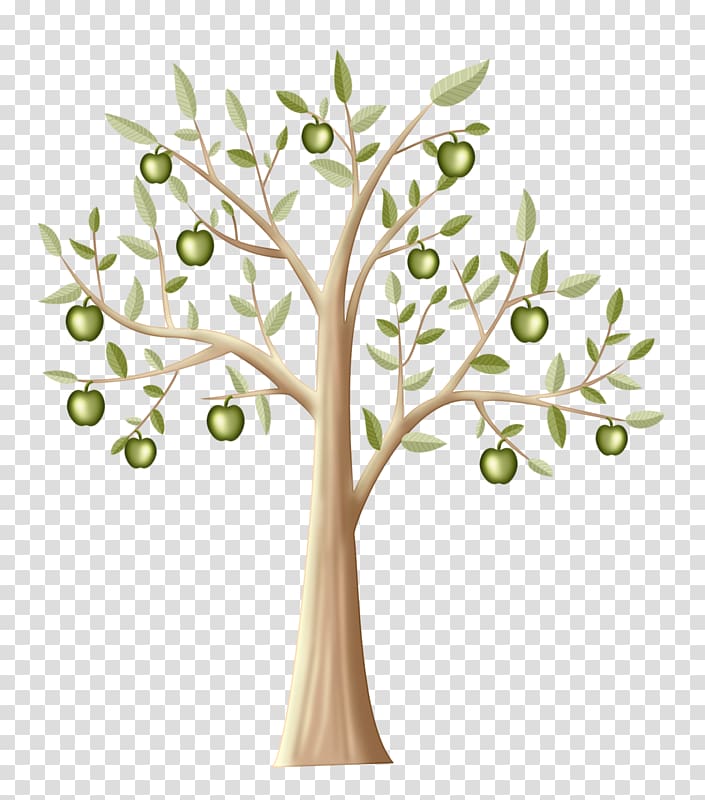 Manzana verde Tree Apple Twig, Green apple transparent background PNG clipart