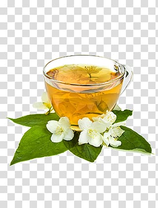 Flowering tea Green tea Jasmine tea Herbal tea, tea transparent background PNG clipart