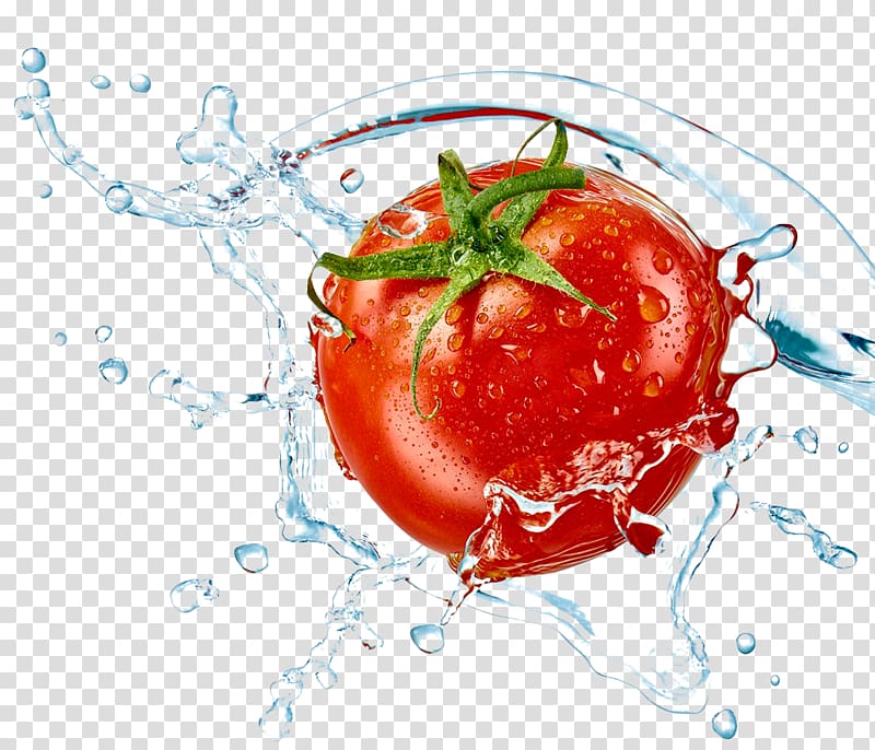 red tomato with dew illustration, Tomato Fort Lauderdale Beach Ozone Air purifier Vegetable, Splashes,tomato transparent background PNG clipart