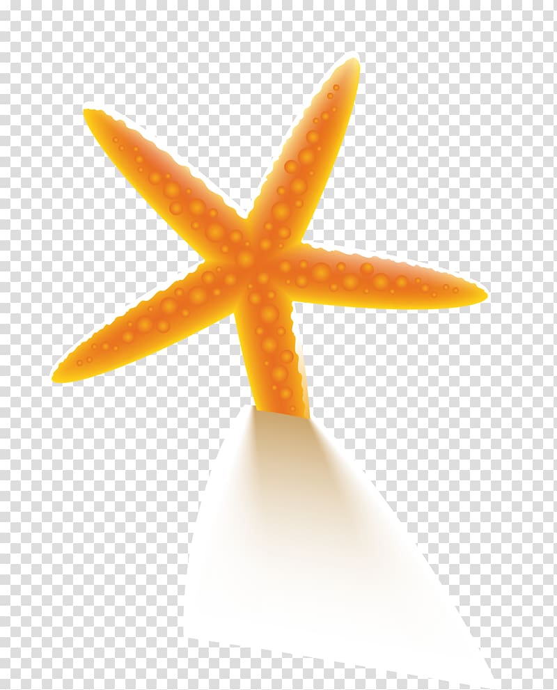 Starfish, Orange Beach starfish transparent background PNG clipart