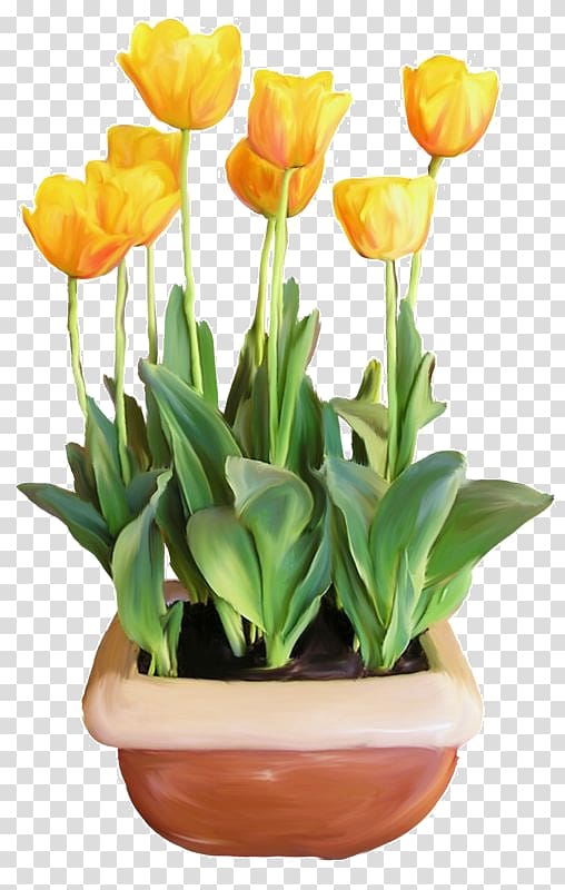 Flower Tulip Euclidean , Golden Tulips transparent background PNG clipart