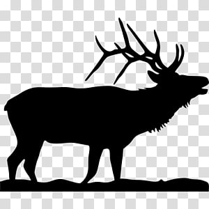 Elk Moose Silhouette , Silhouette transparent background PNG clipart thumbnail