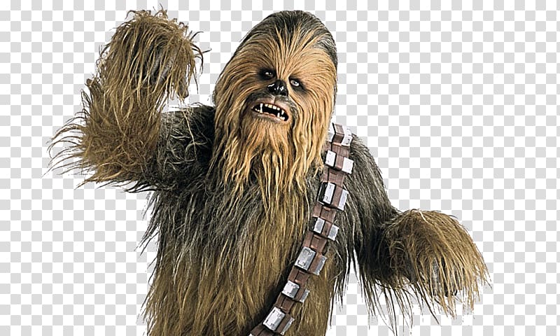 Chewbacca Star Wars Day Wookiee Luke Skywalker, paper cylinder columns transparent background PNG clipart