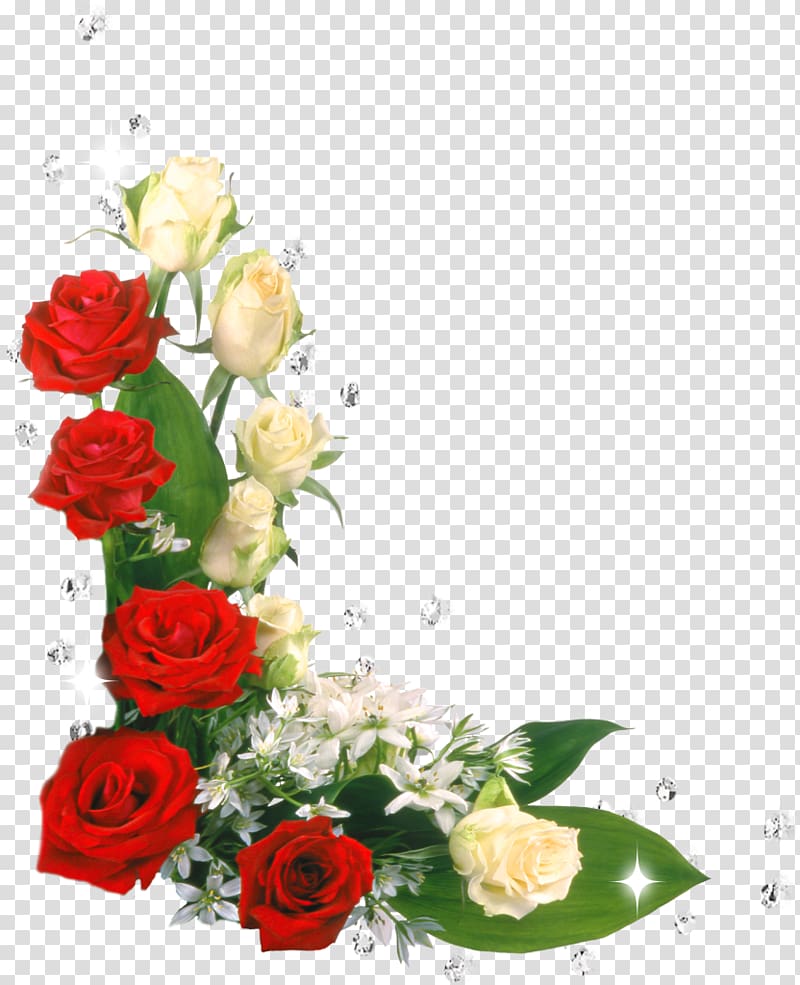 Garden roses Birthday Name day Holiday New Year, Birthday transparent background PNG clipart