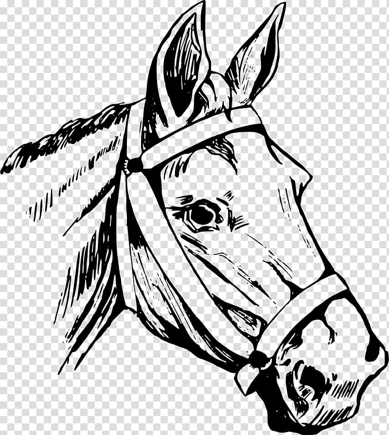 Horse head mask American Quarter Horse , horse riding transparent background PNG clipart