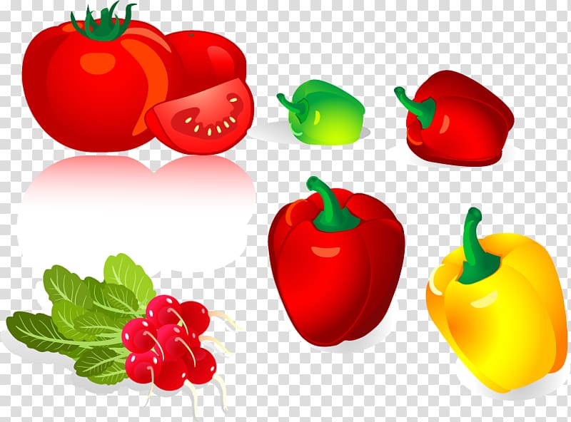 Bell pepper Chili pepper Vegetable, radish tomato pepper material transparent background PNG clipart