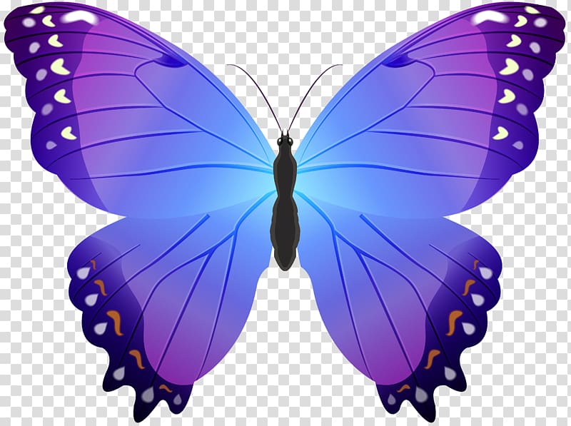 Butterfly Violet , red butterfly transparent background PNG clipart