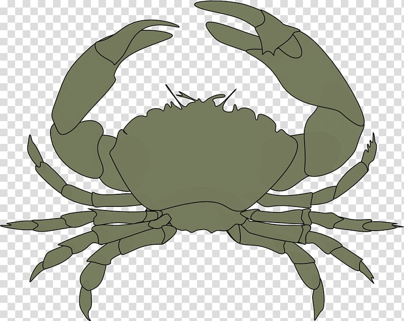 Christmas Island red crab Lobster Red king crab , crab transparent background PNG clipart