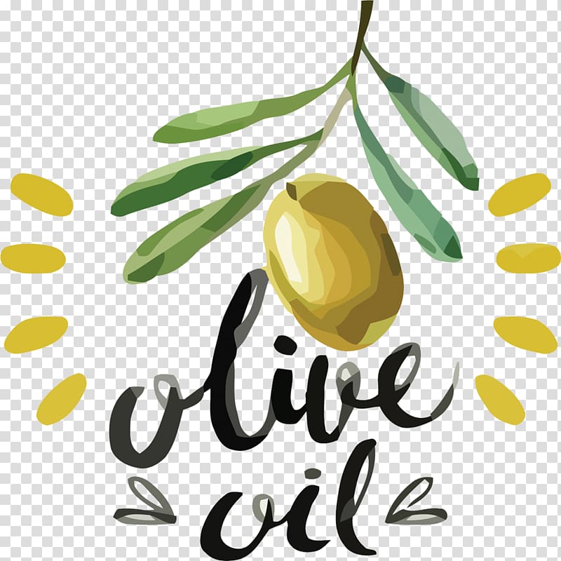 Olive oil, creative hand-painted green olives transparent background PNG clipart
