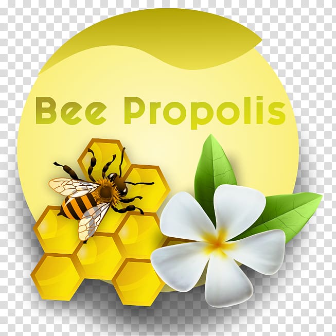 Honey bee Desktop Flowering plant, bee propolis transparent background PNG clipart