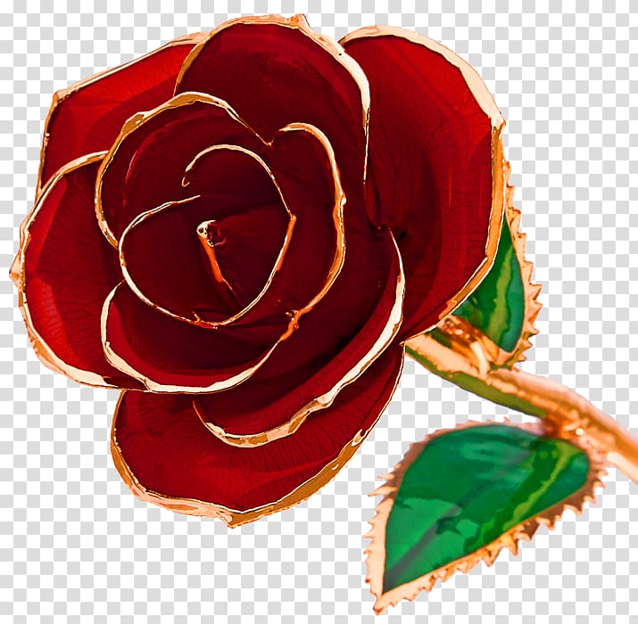 Centifolia roses Flower Steven Singer Jewelers Garden roses Gold, GOLD ROSE transparent background PNG clipart