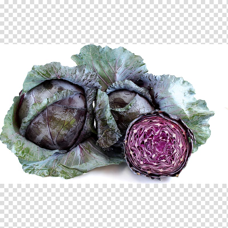 Leaf vegetable Red cabbage Organic food Cauliflower, cabbage transparent background PNG clipart
