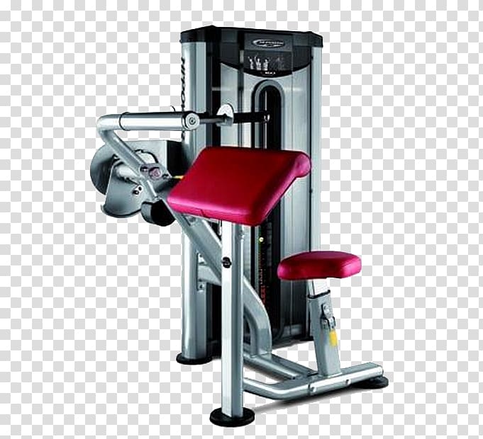 Triceps brachii muscle Bench Pulldown exercise Biceps Weight training, tricep transparent background PNG clipart