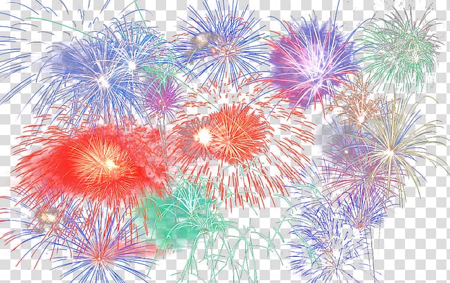 Flora Petal Fxeate , Fireworks transparent background PNG clipart