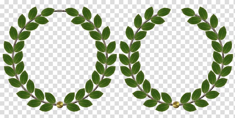 Michigan State University Laurel wreath, others transparent background PNG clipart