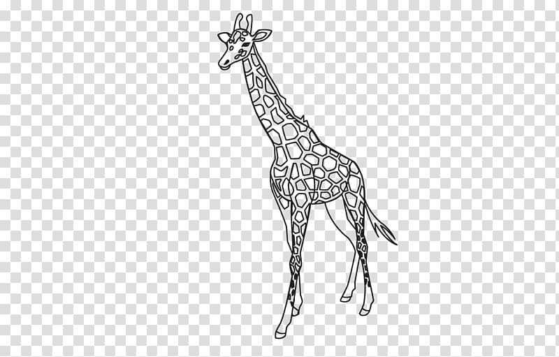 Giraffe Outline Template Lion Pattern, Giraffe pattern transparent background PNG clipart
