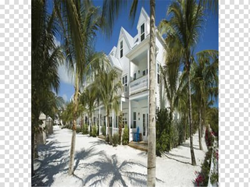 Palm trees Property Villa Winter Tourism, Key west transparent background PNG clipart
