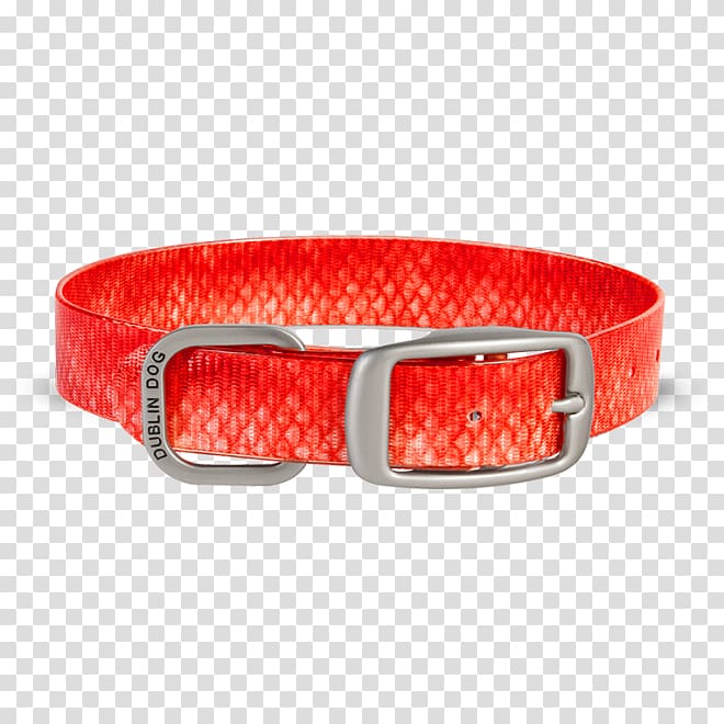 Dog collar Puppy Dog Toys, Red Snapper transparent background PNG clipart