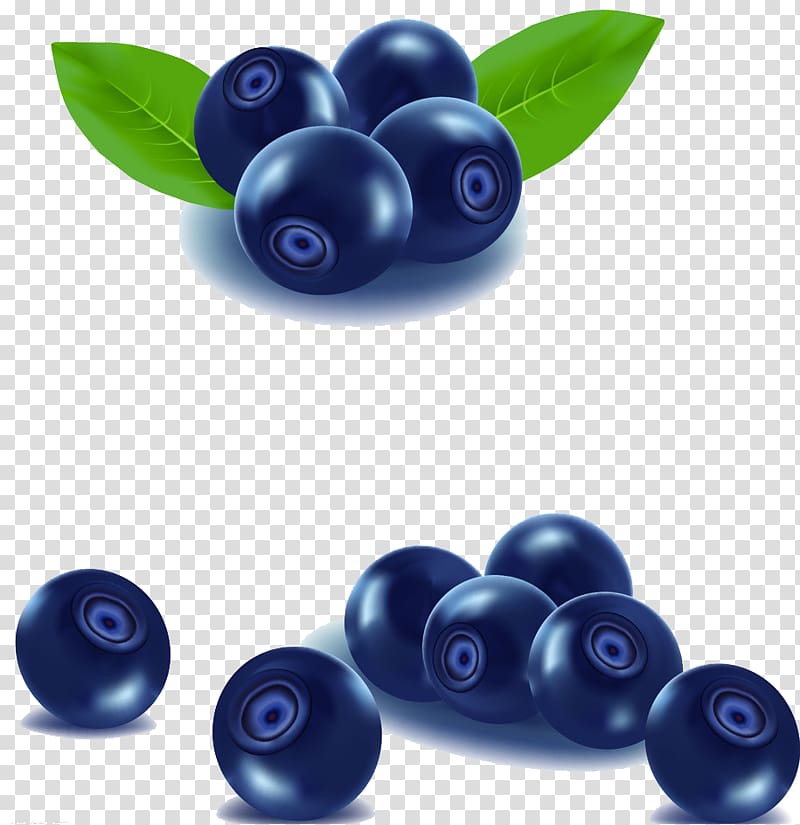 Blueberry Fruit Blackberry, Blueberry material transparent background PNG clipart