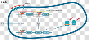 Brand Line Point Angle, line transparent background PNG clipart thumbnail